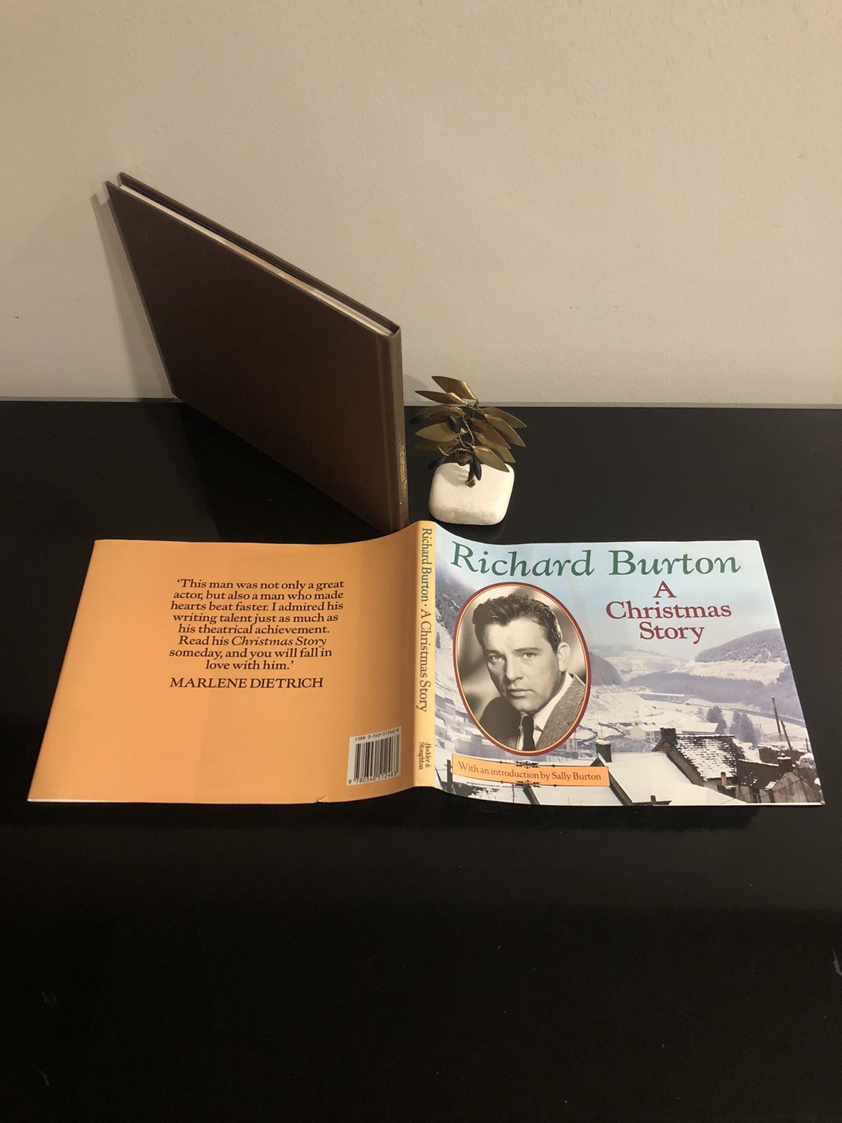 Richard Burton A Christmas Story Intro By Sally Burton H&S 1989 First Ed.HCDJAcc