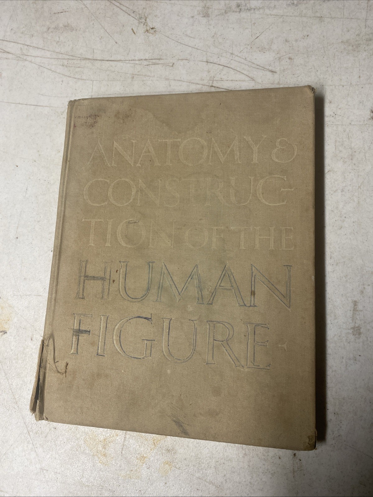 Anatomy and Construction of the Human Figure Perfect Charles Earl 1949