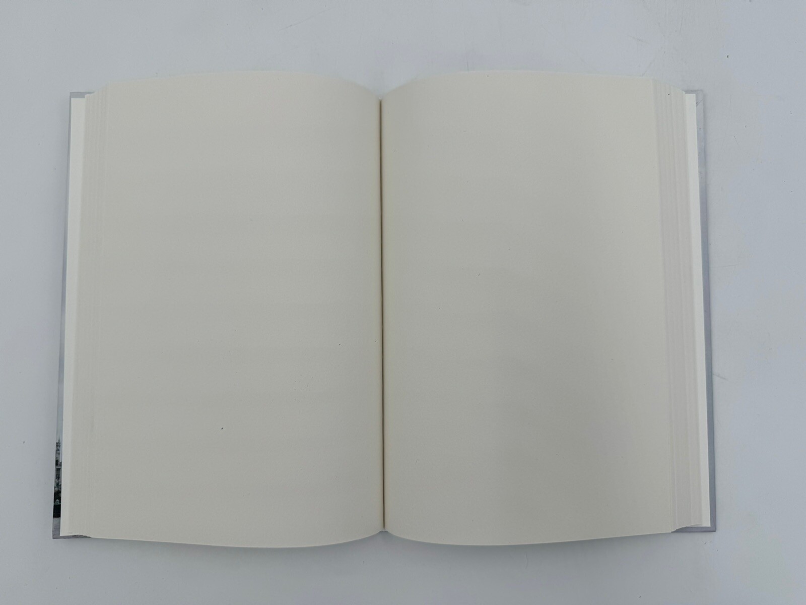 Decorative Books City Theme For Home Decor Hardcover Blank Pages Set of 3