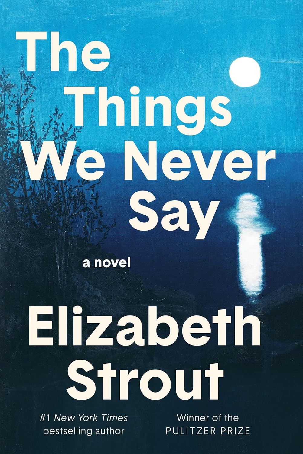 The Things We Never Say: A Novel/Fast Delivery in 3-5 days