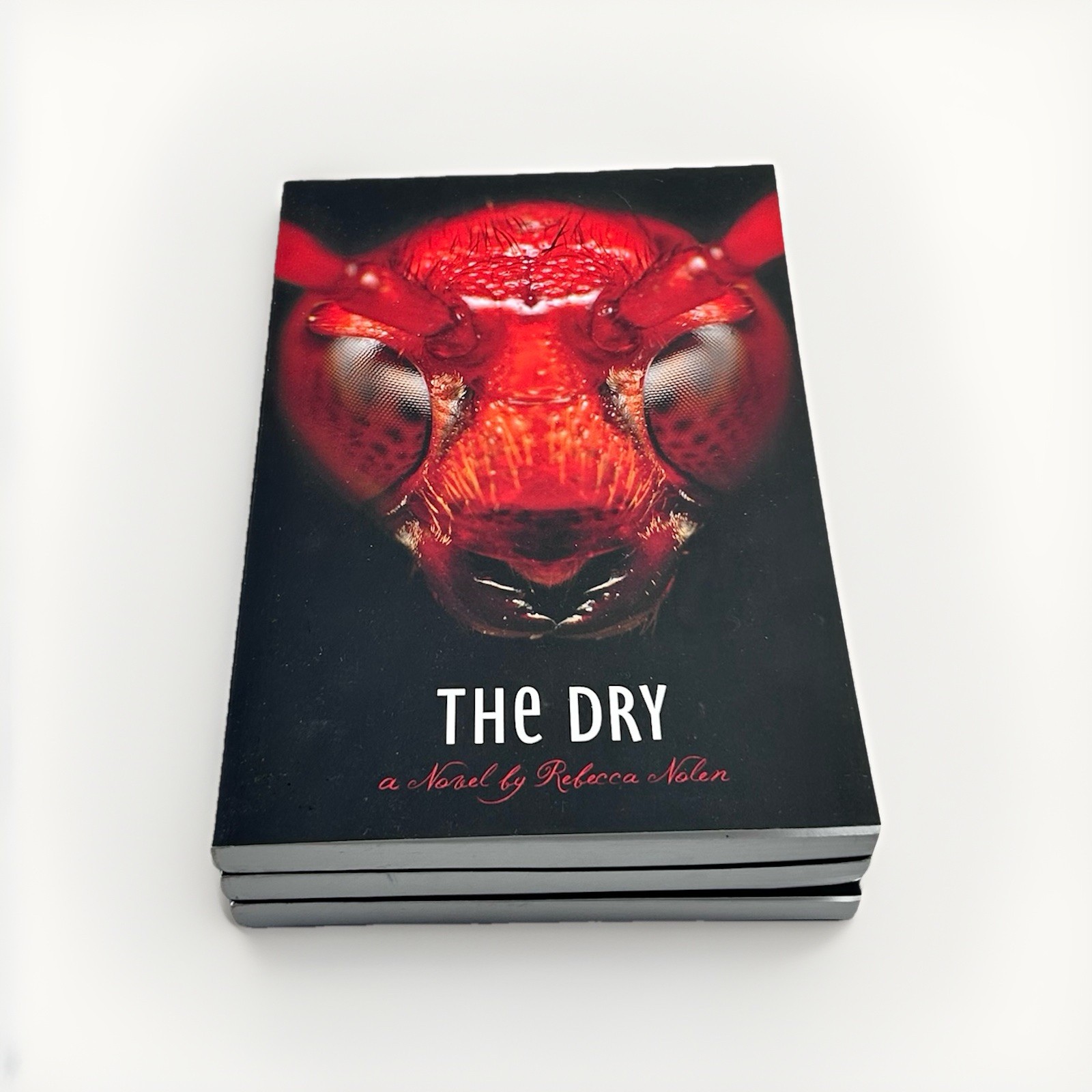 Dry by Rebecca Nolen (2013, Trade Paperback)