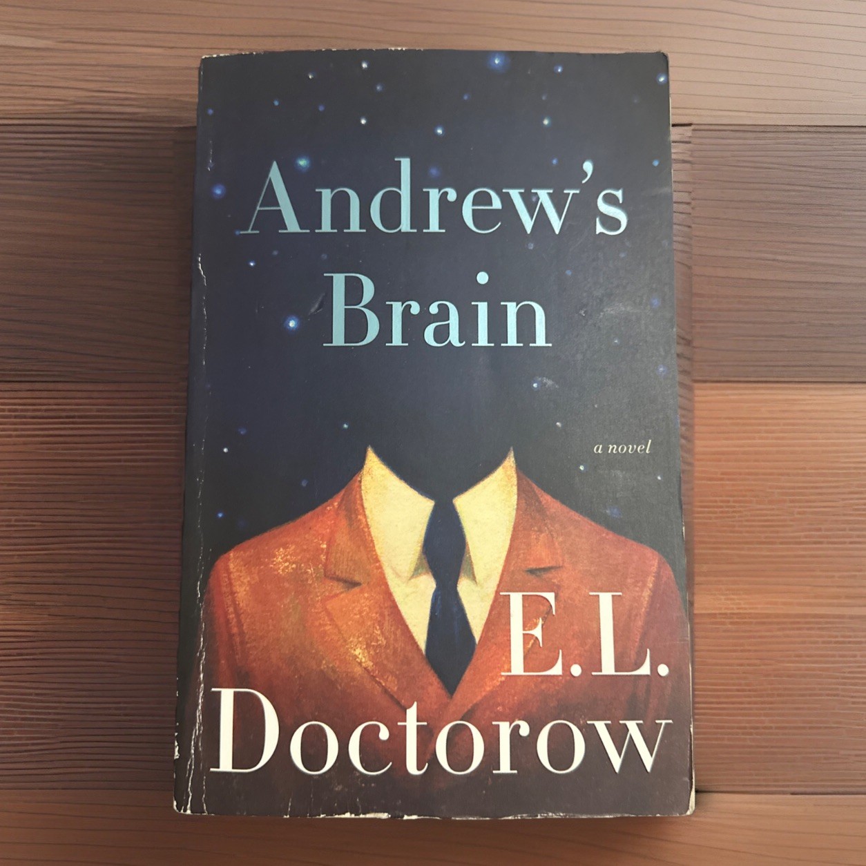 Andrew’s Brain by E. L. Doctorow 2014 Fiction Paperback