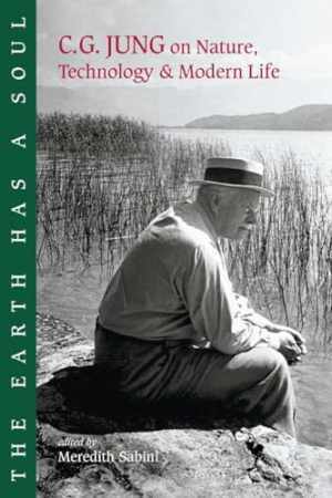 The Earth Has a Soul: C.G. Jung on Nature, – Paperback, by Jung Carl G.; – Good