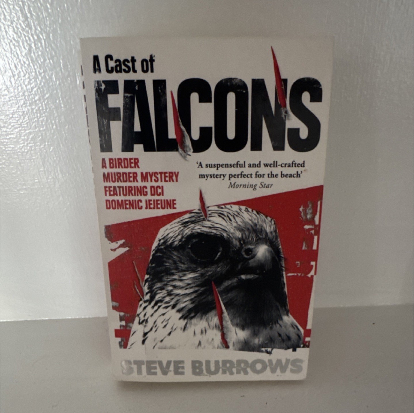 Cast of Falcons by Steve Burrows Paperback Oneworld Publications Mystery Series