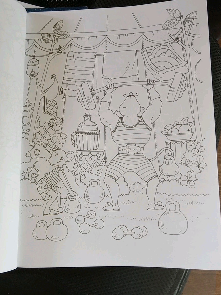 Lot Of 3 Whimsical Adult Coloring Books