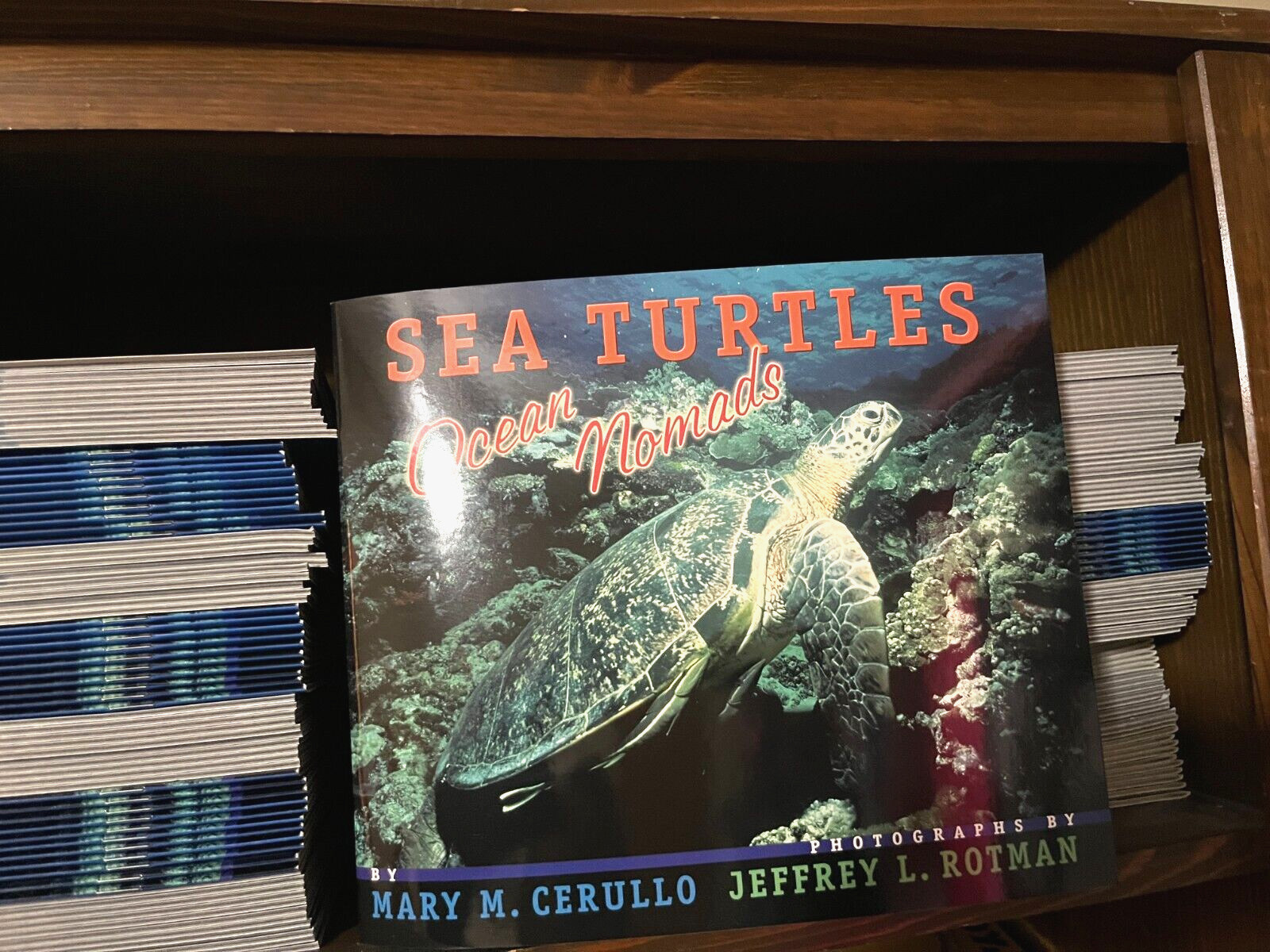 Set of 25 NEW SEA TURTLES Books Ocean Science Grade Level 3 4 Teacher Class Lot
