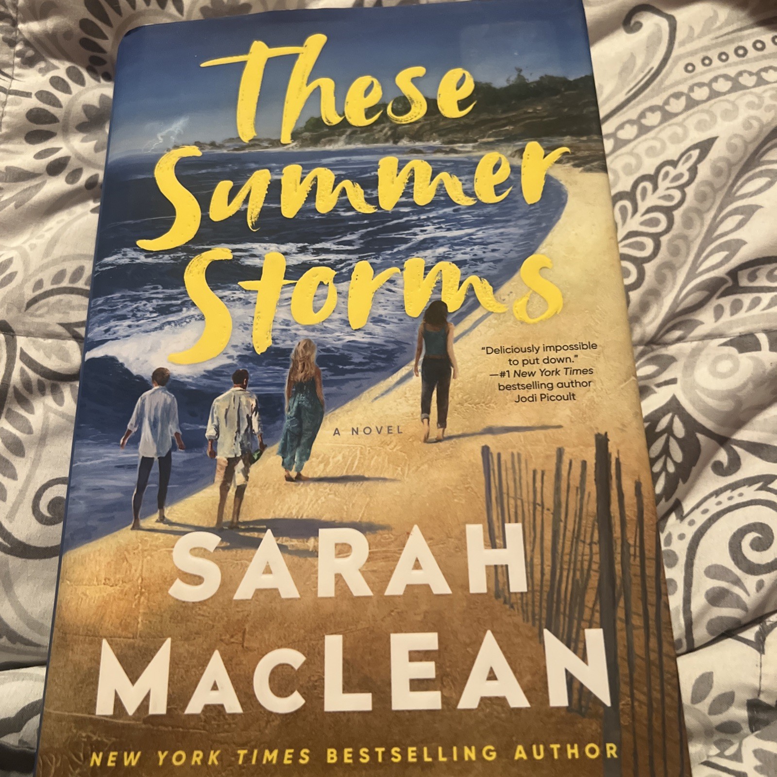 These Summer Storms : A Novel by Sarah MacLean (2025, Hardcover)