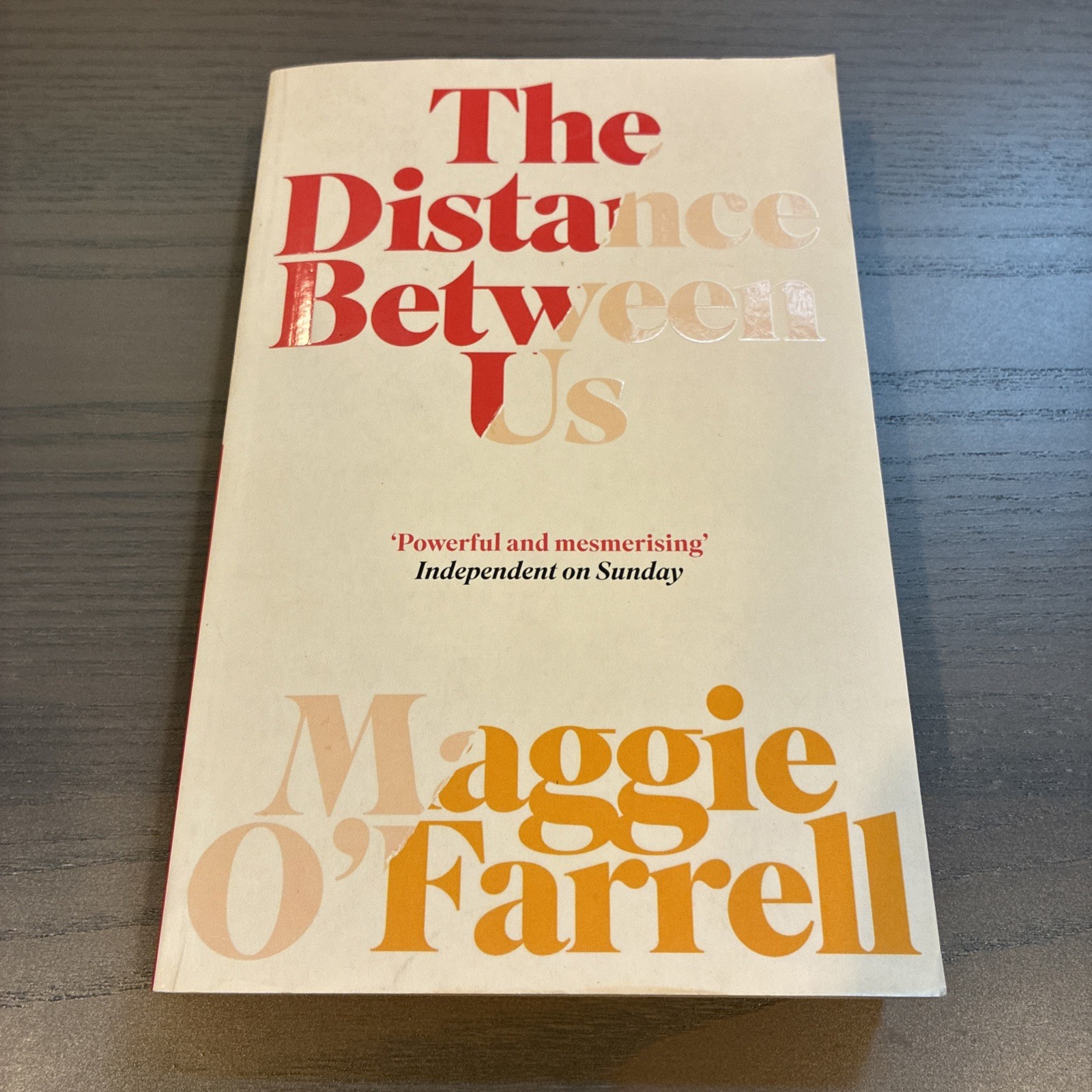 The Distance Between Us By Maggie O’Farrell (2004, Trade Paperback) Fiction