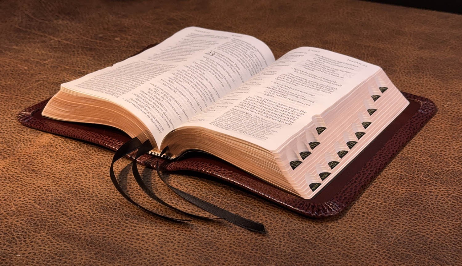 LSB Giant Print Reference Bible, Pebbled Cognac Goatskin Leather, 3 Ribbons