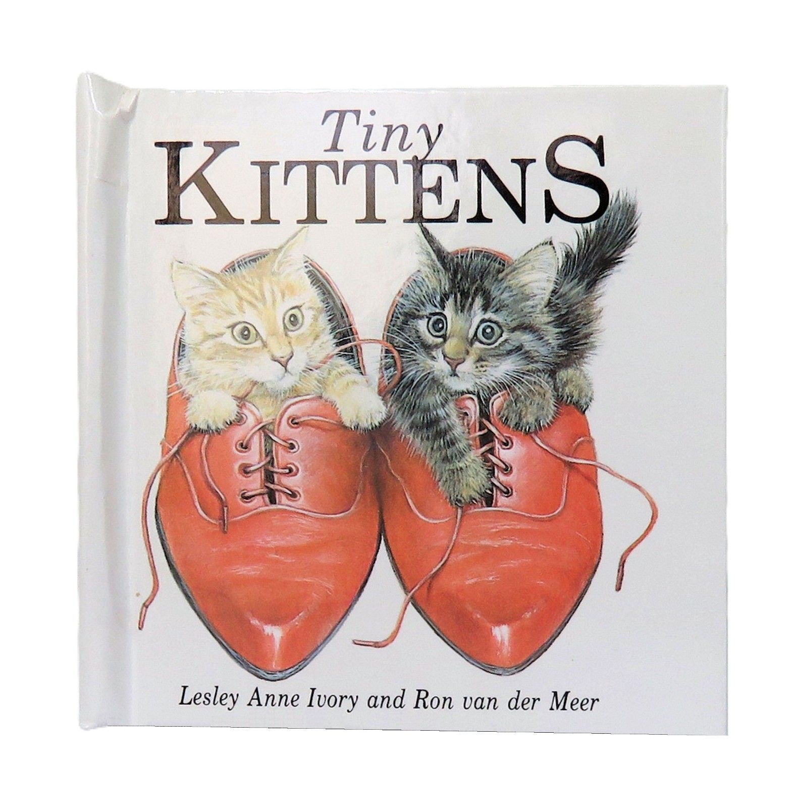 Tiny Kittens Mini Pop-Up Book Lesley Anne Ivory, Ron Van Der Meer hc 3.25″x3.25″