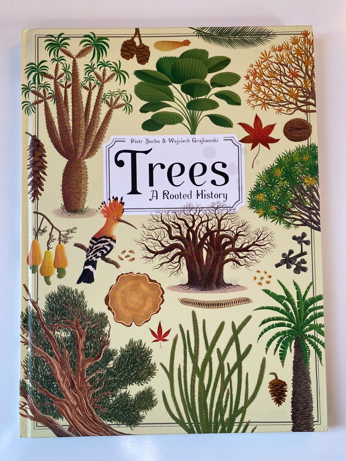 Trees: A Rooted History by Piotr Socha (2019, Hardcover, Abrams Books, Like New)