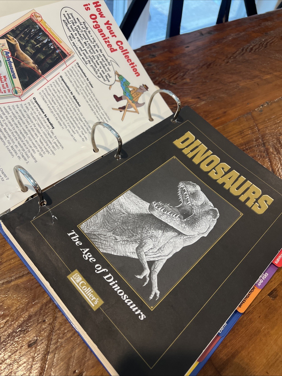 Dinosaur Cards By Collier’s Publication 1994. 3 Ring Binder