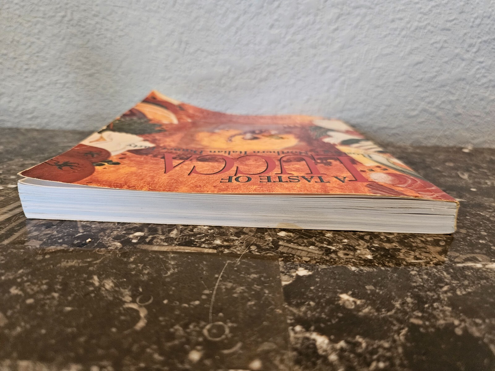 A Taste of Lucca – Signed by author Deborah Dinelli – 1996 – 208 pages