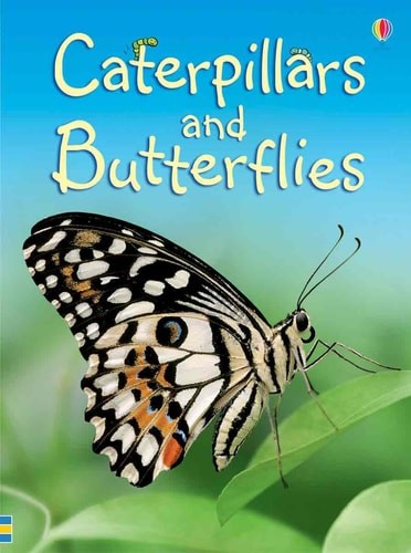 Caterpillars and Butterflies (Beginners Nature, Level 1) by Turnbull, Stephanie,