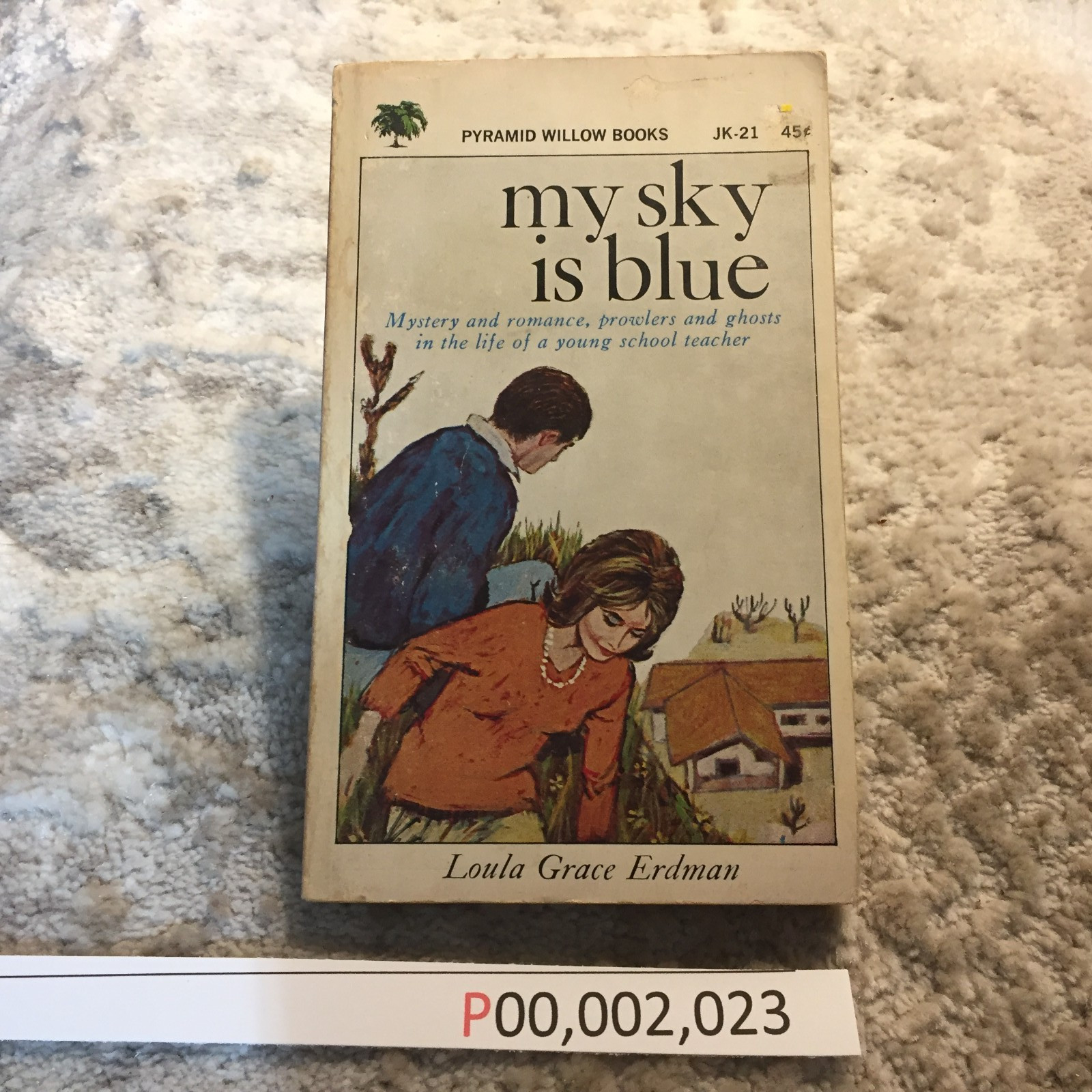 My Sky Is Blue Loula Grace Erdman 1965 Willow Books School Story Romance Book