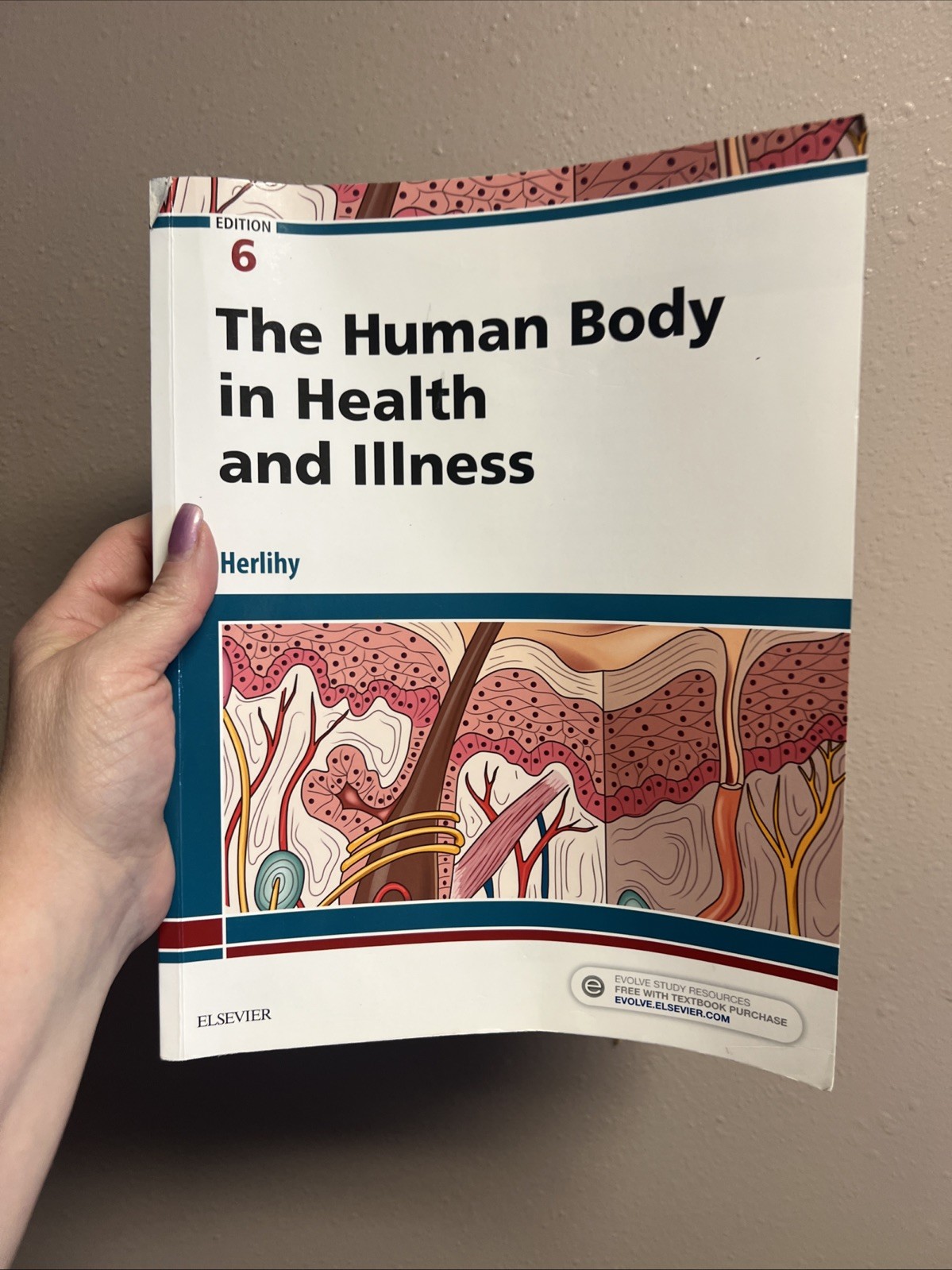 The Human Body In Health And Illness, 6th Ed Nursing Textbook/Study Guide