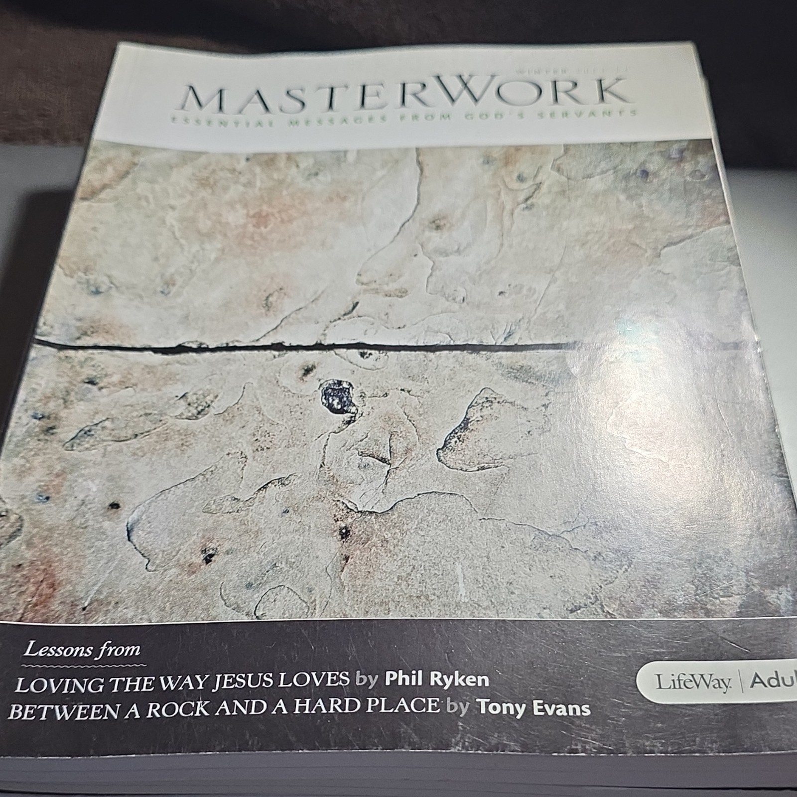 LifeWay MasterWork Adult Bible Study Paperback Various Lessons & Authors 2009