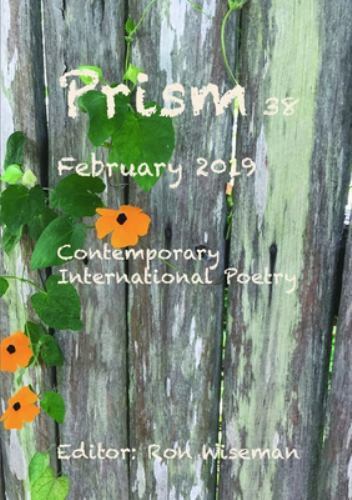 Prism 38 – February 2019, Like New Used, Free shipping in the US