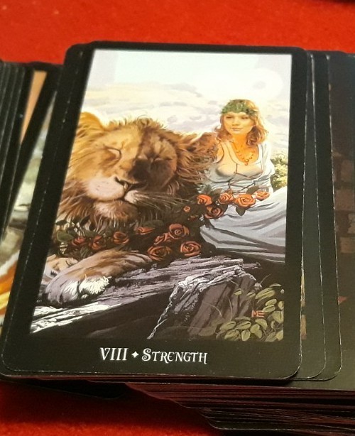 Witches Tarot by Ellen Dugan and Mark Evans (2012, 78 Cards) AS SHOWN