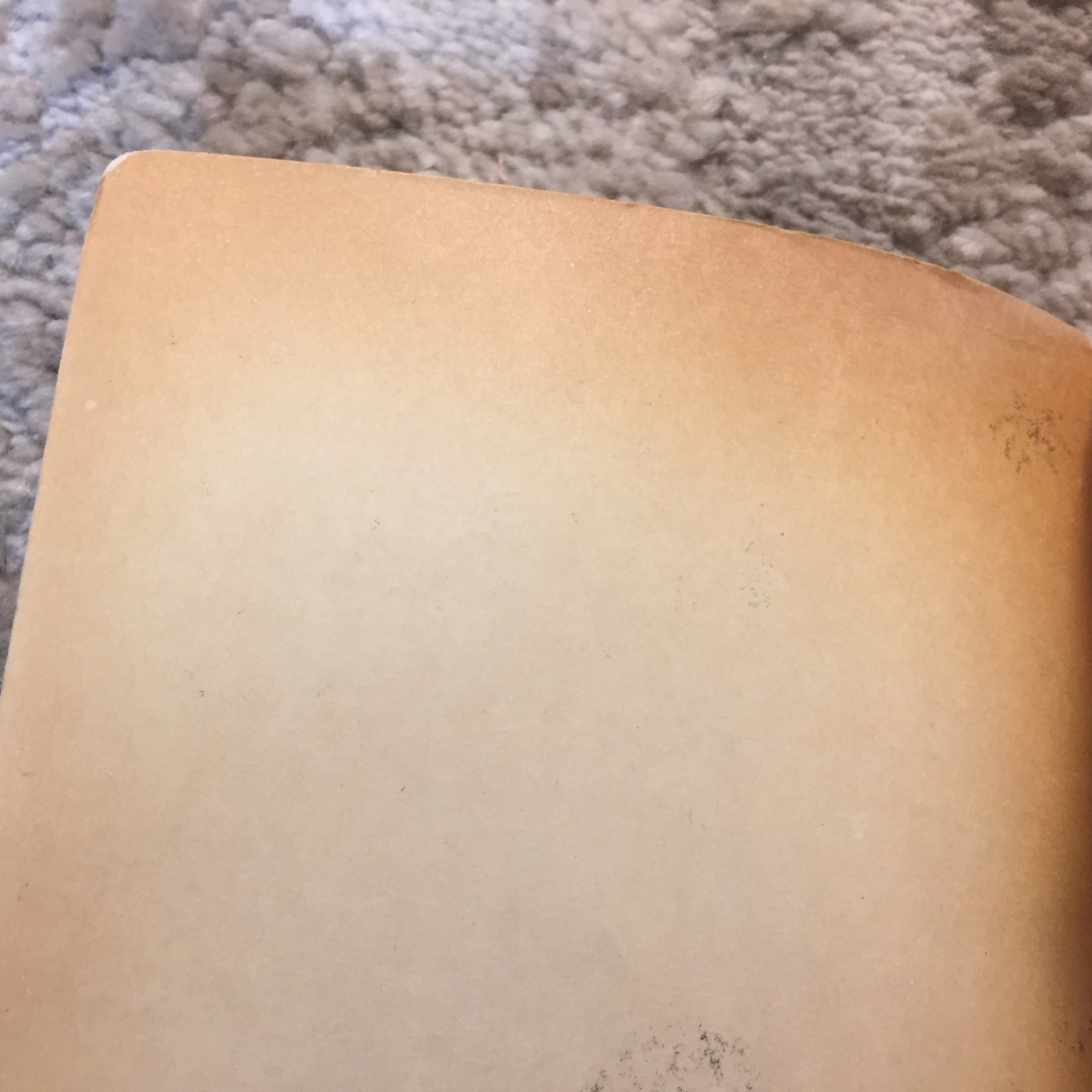 My Sky Is Blue Loula Grace Erdman 1965 Willow Books School Story Romance Book