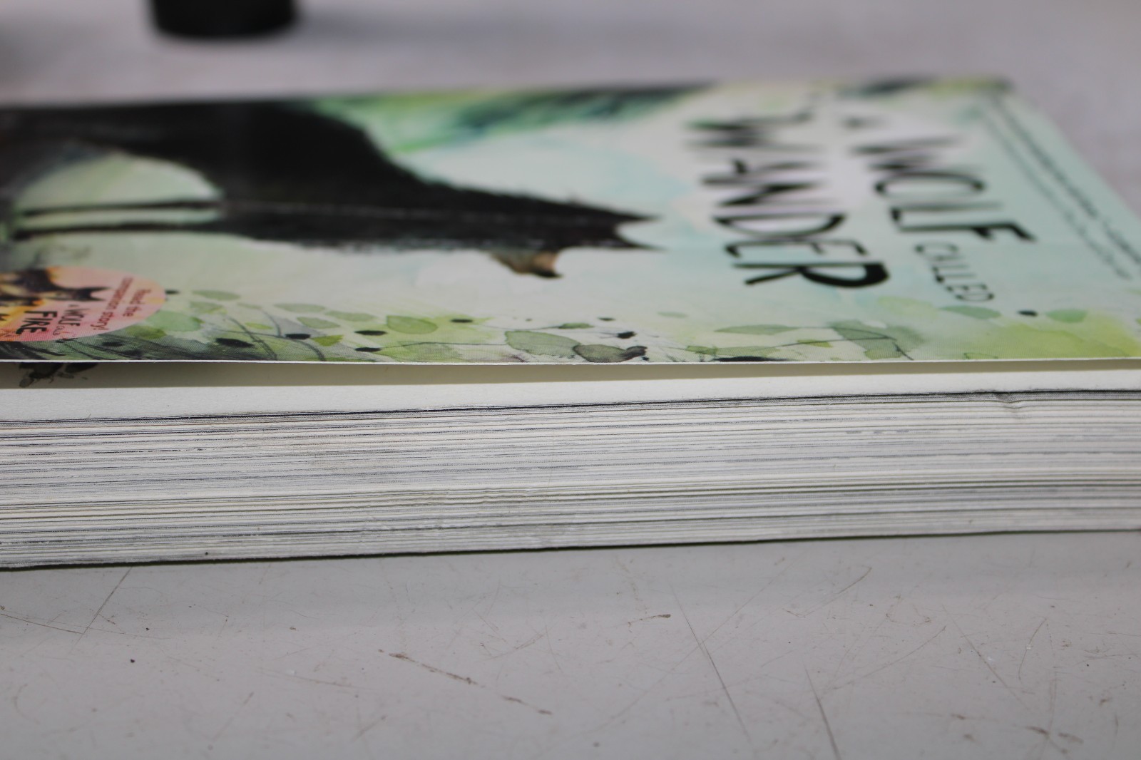 NEW: A WOLF CALLED WANDER – Rosanne Parry, Paperback Crease
