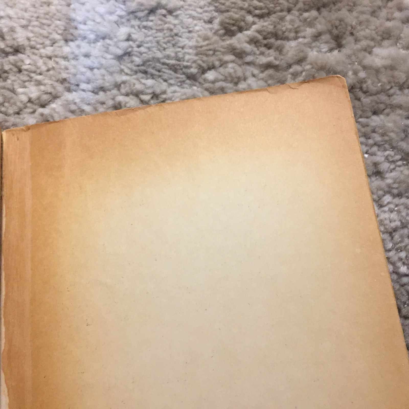 My Sky Is Blue Loula Grace Erdman 1965 Willow Books School Story Romance Book