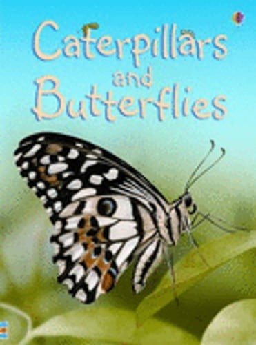 Caterpillars and Butterflies by Stephanie Turnbull: New