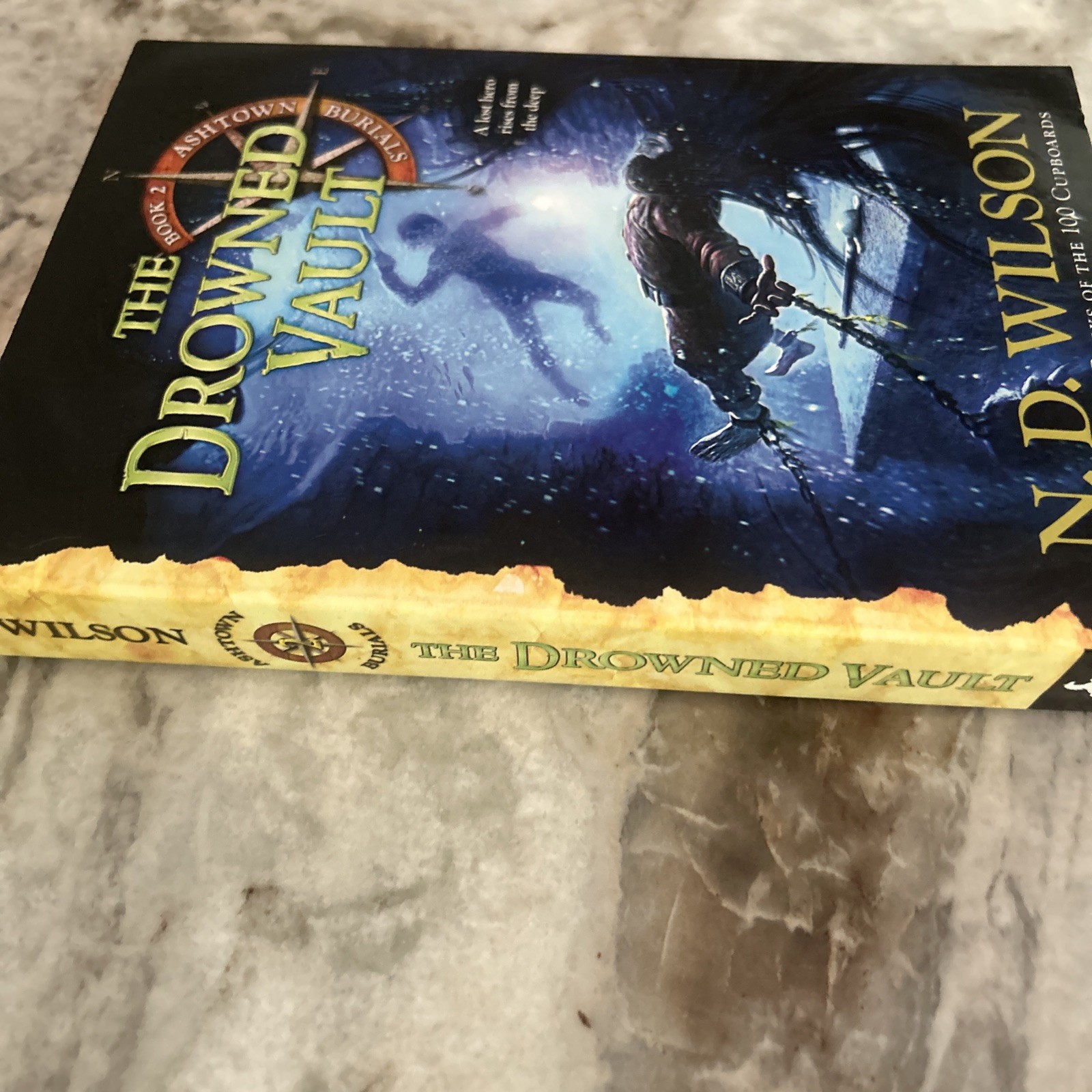 The Drowned Vault (Ashtown Burials #2), Wilson, N. D., 9780375863974