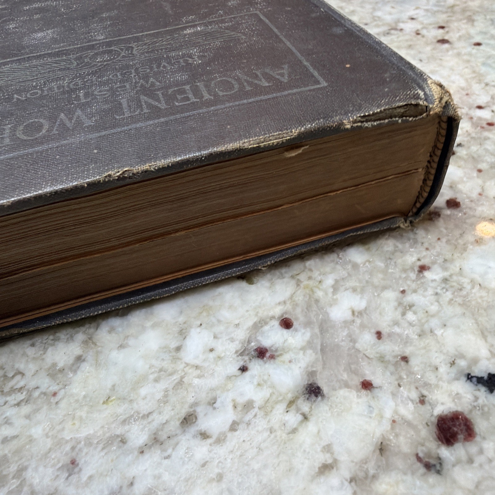 The Ancient World From The Earliest Times to 800 AD by Willis Mason West