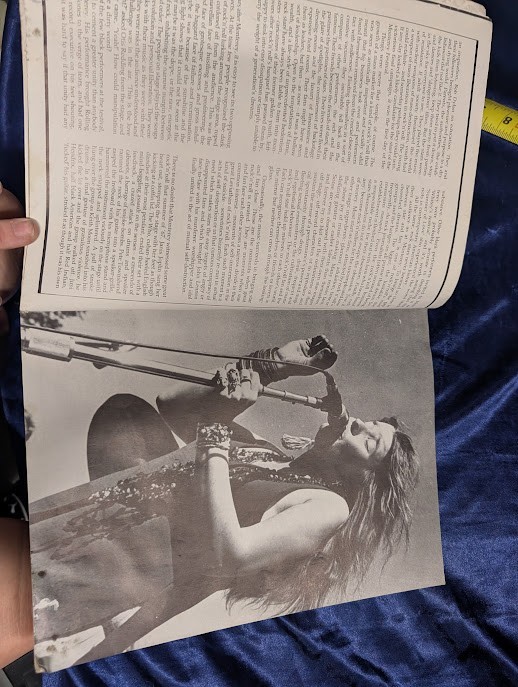 Rock ‘n’ Roll Babylon Gary Herman Paperback Music History Book