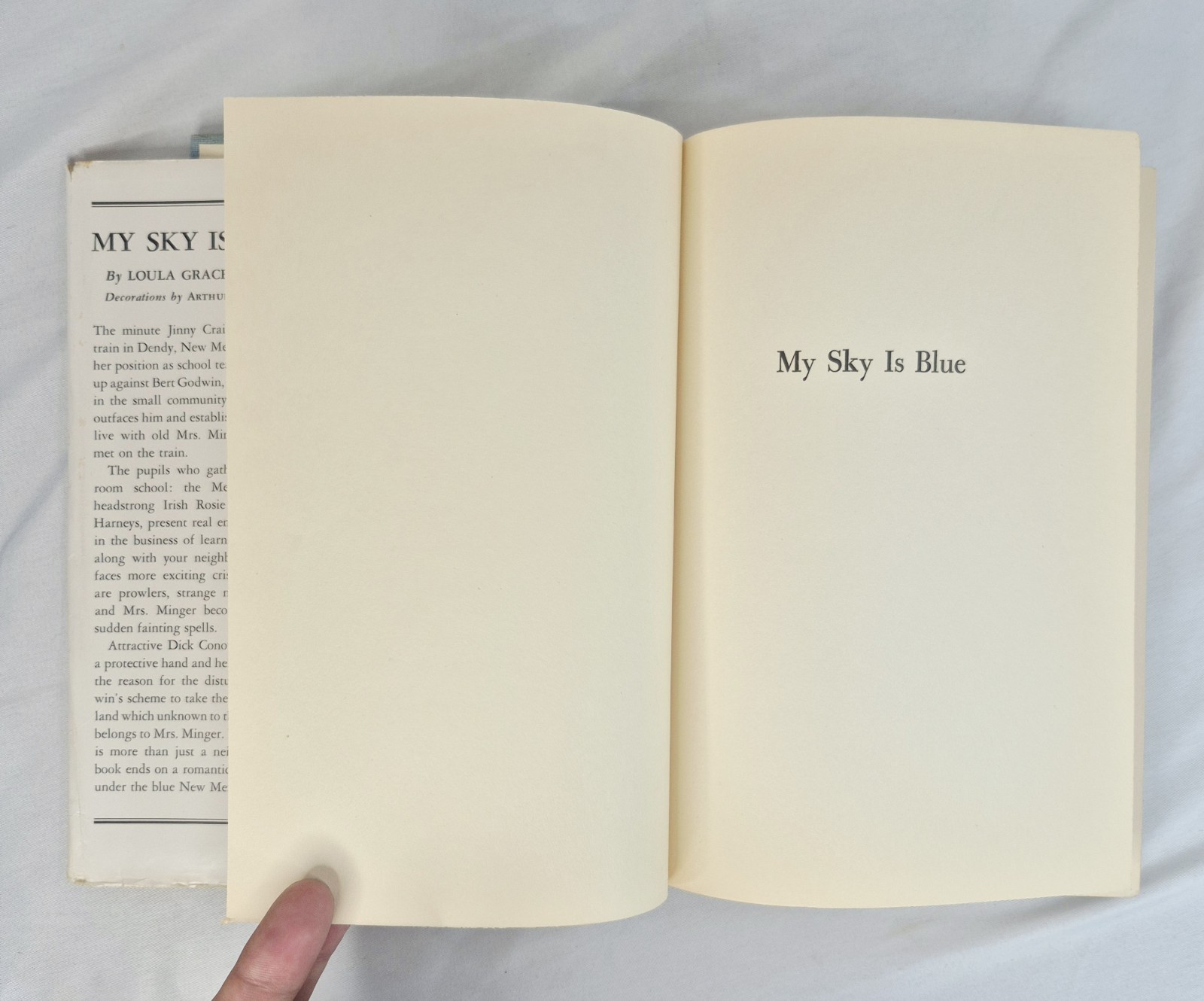 My Sky Is Blue By Loula Erdman 1st Edition 1953 HC DJ