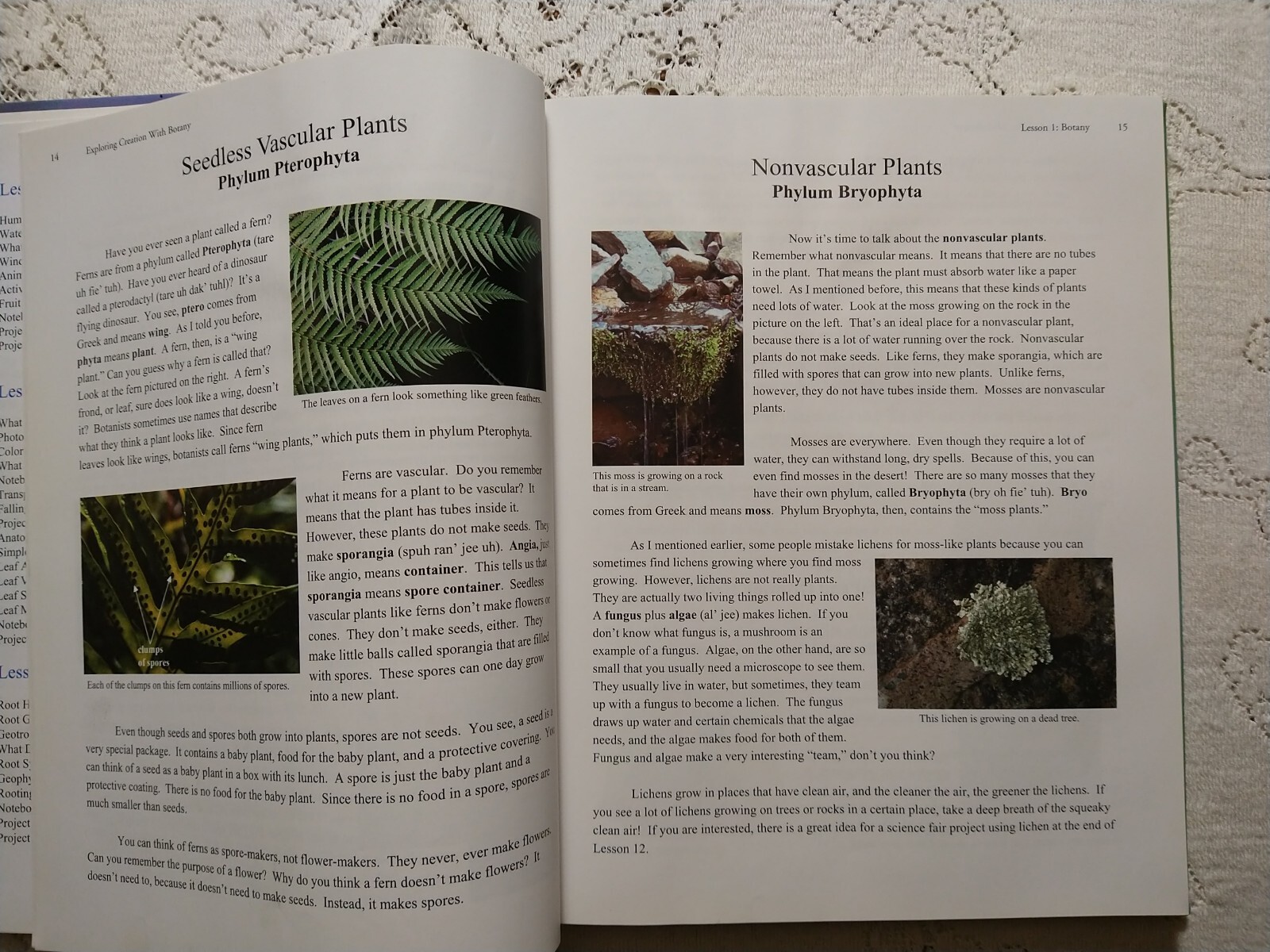 Exploring Creation with Botany, – Hardcover, by Jeannie Fulbright – Very Good