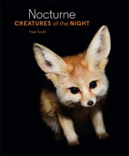 Nocturne: Creatures of the Night – hardcover, Traer Scott, 1616892889
