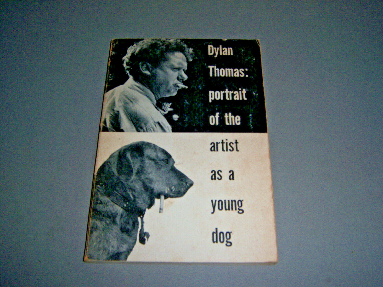Dylan Thomas Portrait Of The Artist Of A Young Dog 1955 New Directions 8vo SC VG
