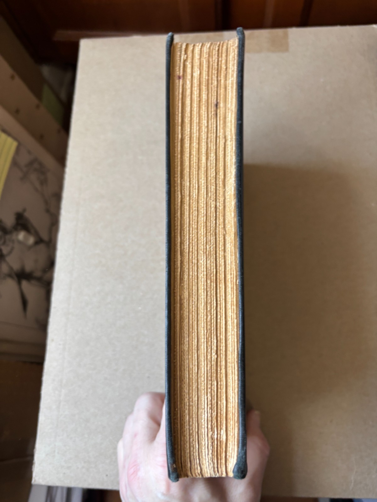 Further Side of Silence by Sir Hugh Clifford illus. by Mahlon Blaine (1927)