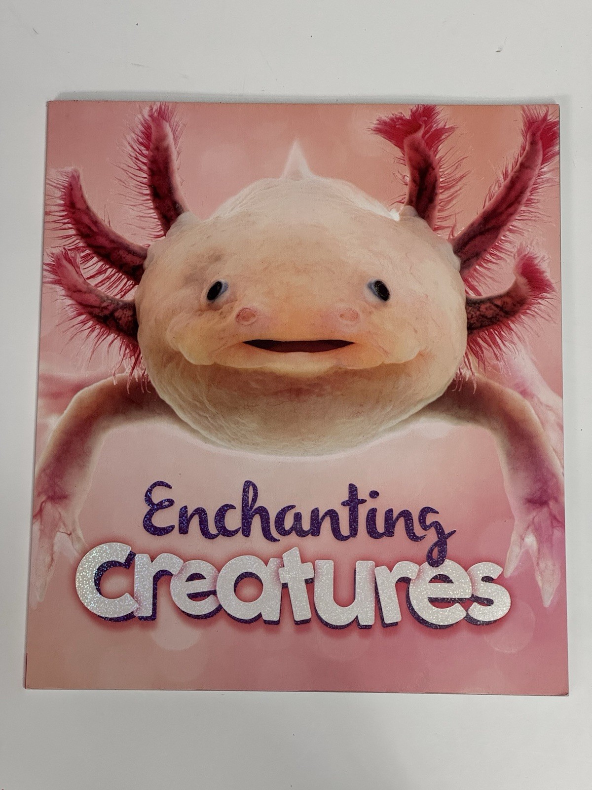 Enchanting Creatures Kids Animal Book QEB Publishing Ages 5+