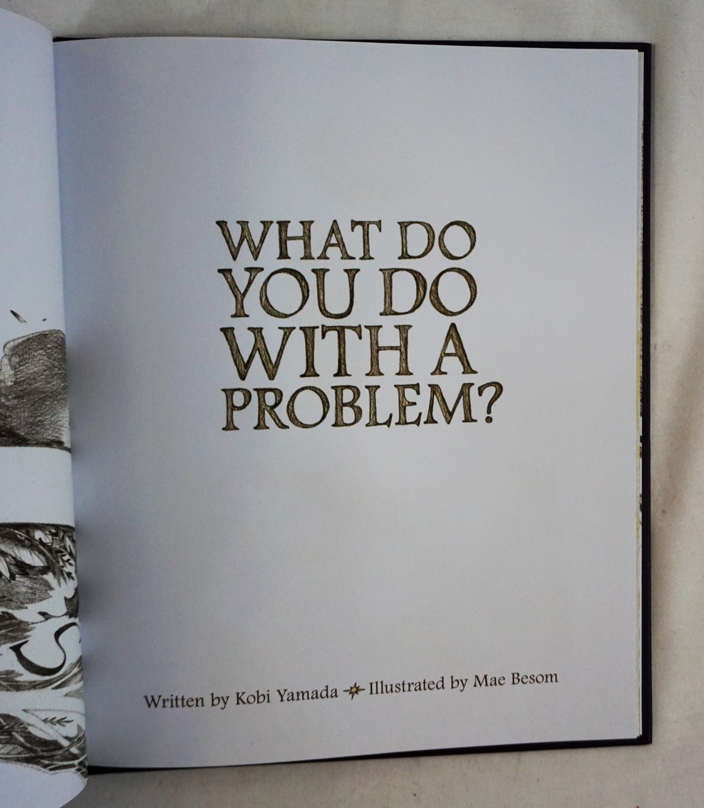What Do You Do with a Problem? by Kobi Yamada 2016 Hardback 9781943200009