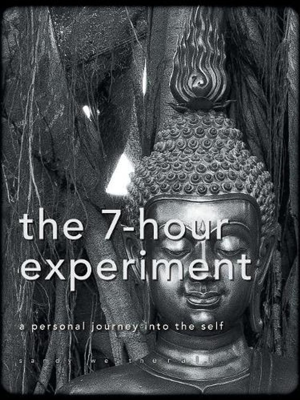 The 7-Hour Experiment by Sandy Weatherall (English) Paperback Book