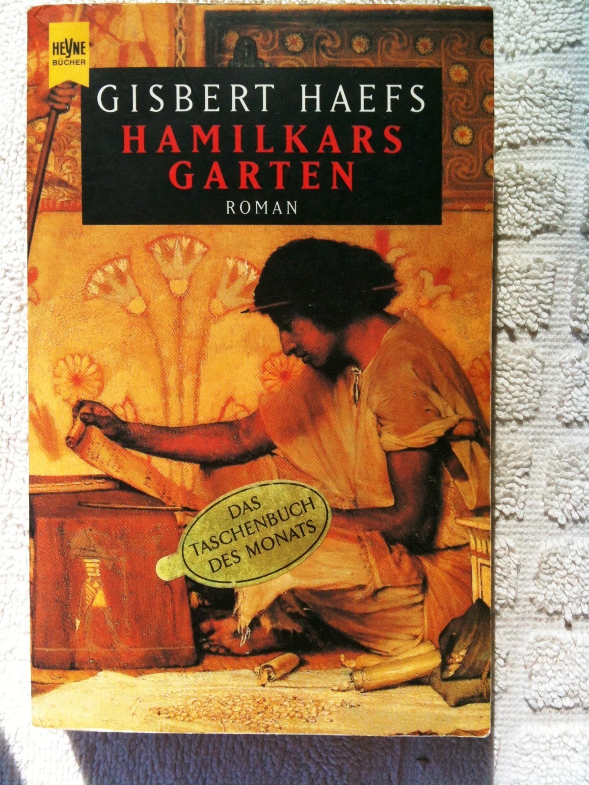 Roman PUNIC WAR Carthage Historic Crime Mystery GISBERT HAEFS Hamilkars Garten