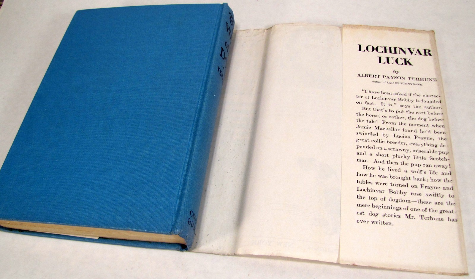 The Way of a Dog by Albert Terhune First Edition Hardback w/ Dust Jacket 1932