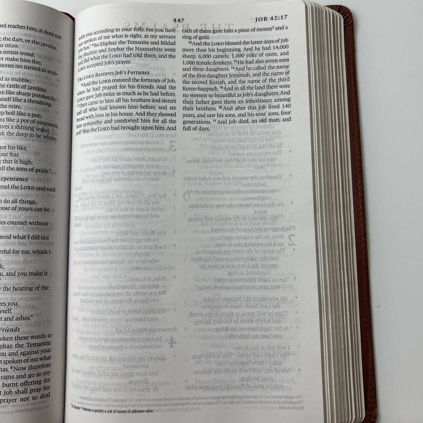 ESV Verse-By-Verse Reference Bible (TruTone, Deep Brown)