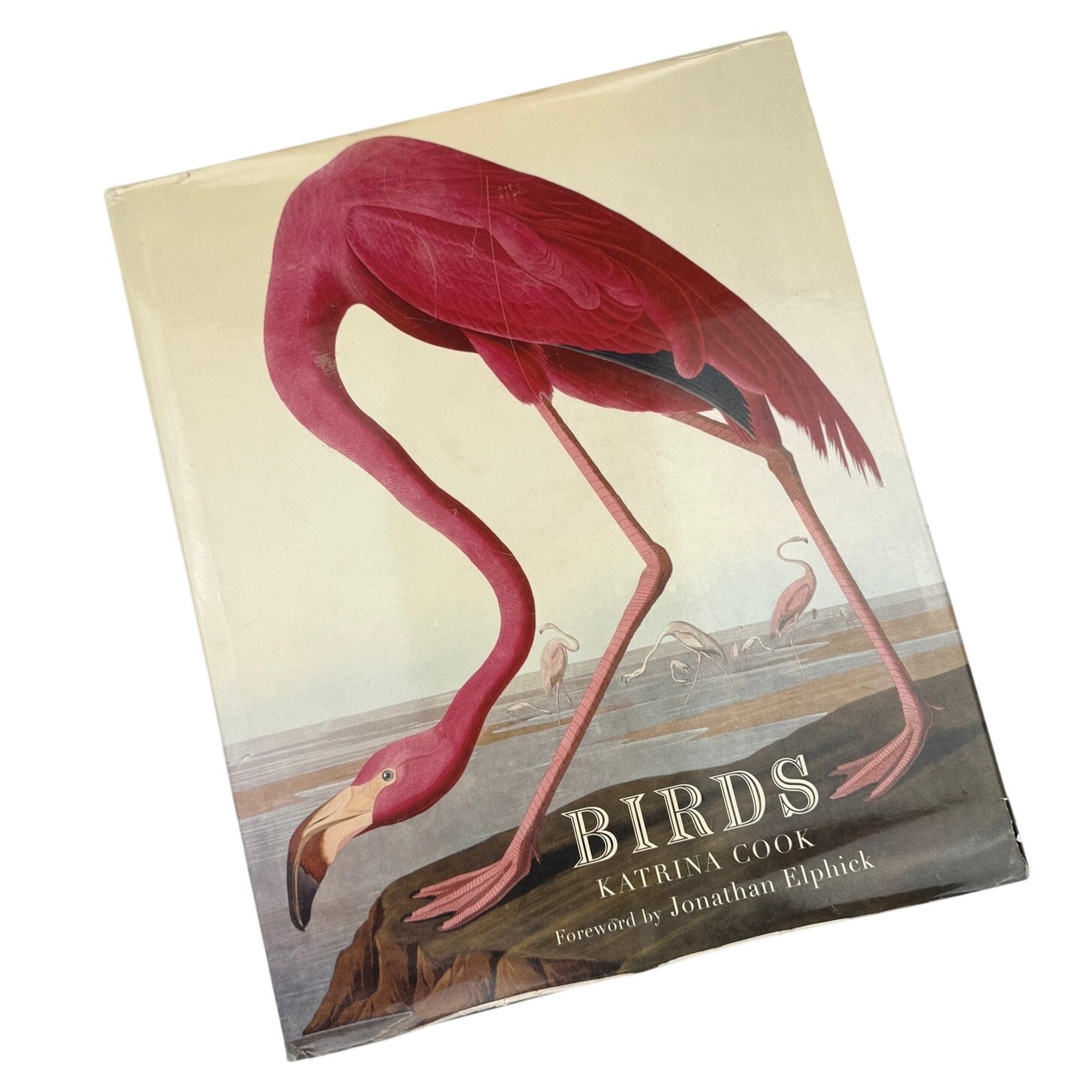 Birds by Katrina Cook Hardcover Art Book Illustration Coffee Table Home Decor