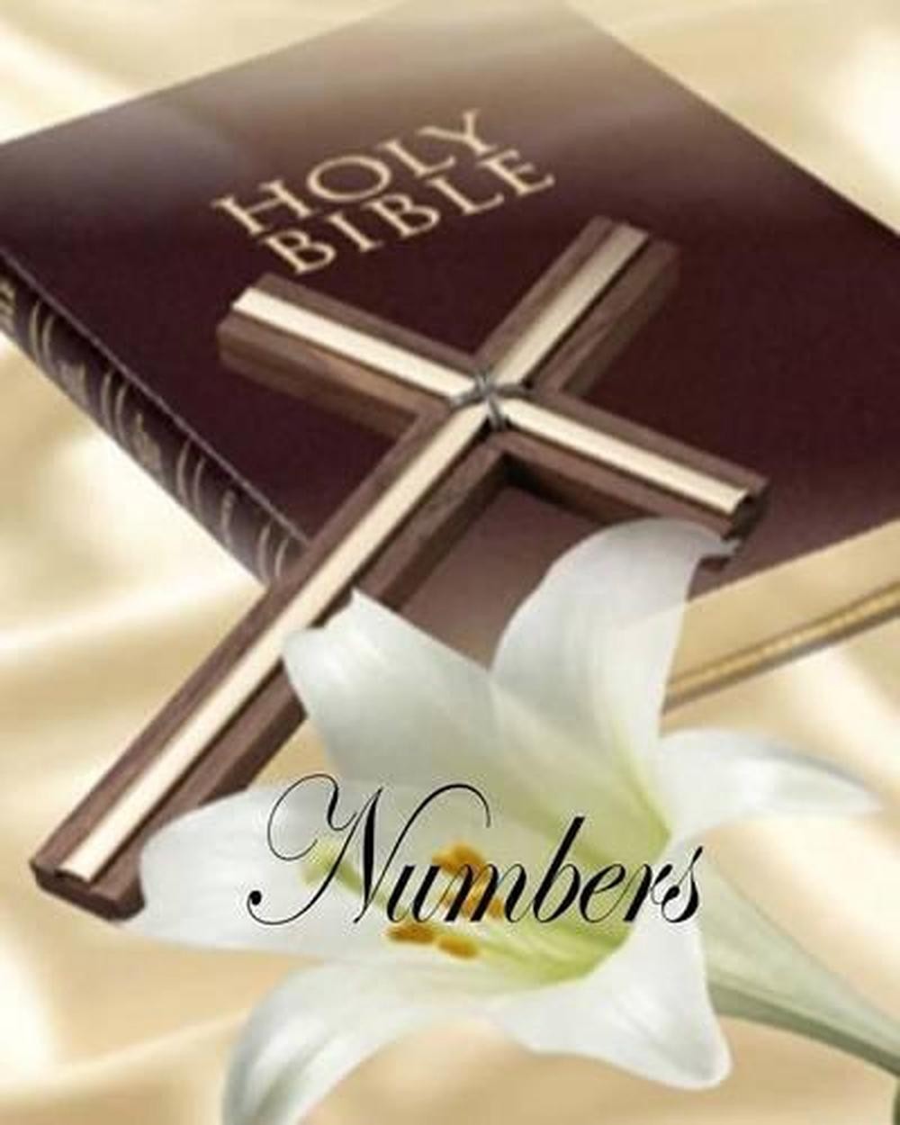 Numbers: 4th Book in the Old Testament by Billy R. Fincher (English) Paperback B