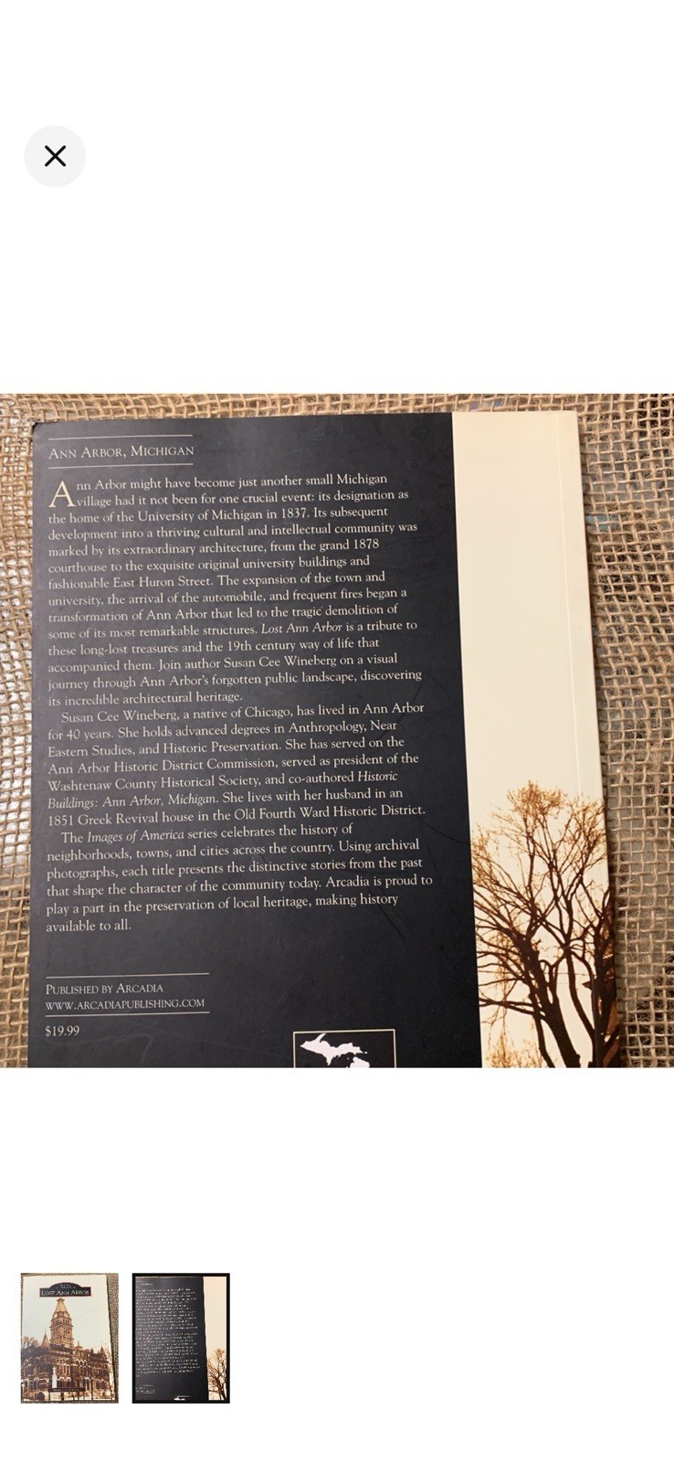 Lost Ann Arbor by Susan Cee Wineberg (2004, Trade Paperback)