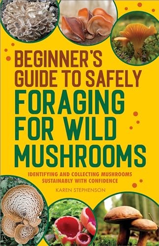 Beginner’s Guide to Safely Foraging for Wild Mushrooms: Identi…