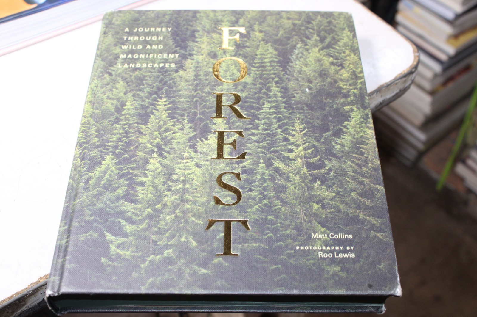 Forest: [Tree Photography Book, Nature and World Photo Book] Collins, Matt VG