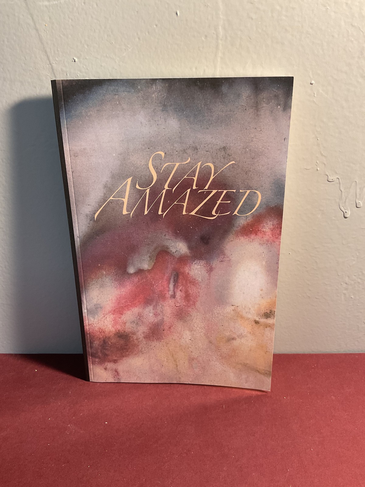 Stay Amazed Poetry Anthology Signed Inscribed Morton N. Felix Lisa Felix-Smartt
