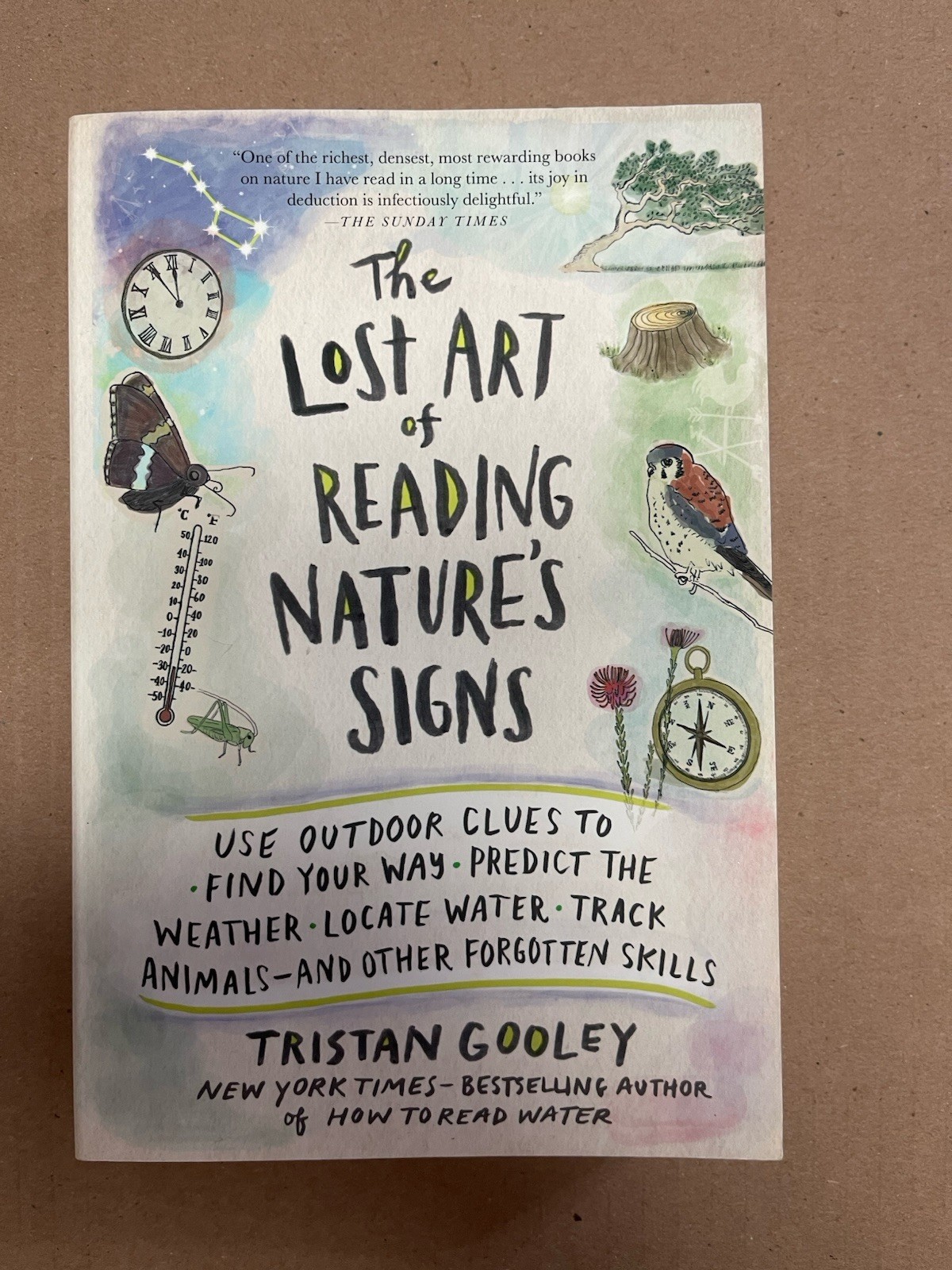 The Lost Art of Reading Nature’s Signs: Use Outdoor Clues to Find Your Way