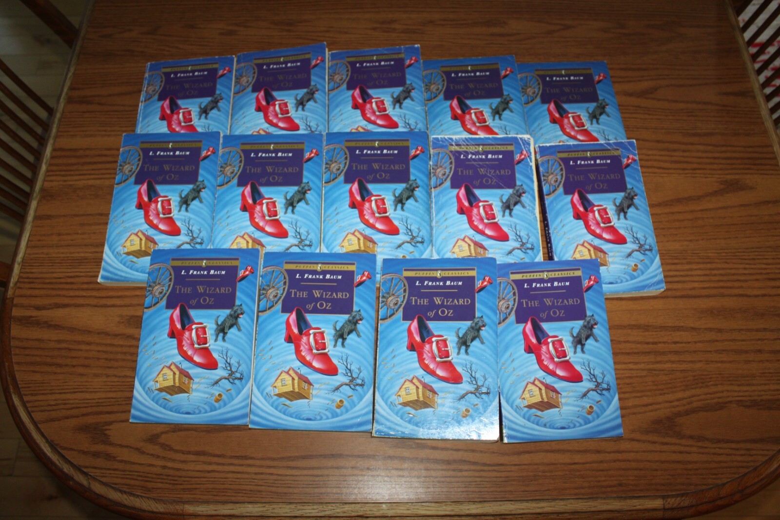 14 Wizard of Oz Guided Reading Books Set Teacher Roald Dahl RL 7.0