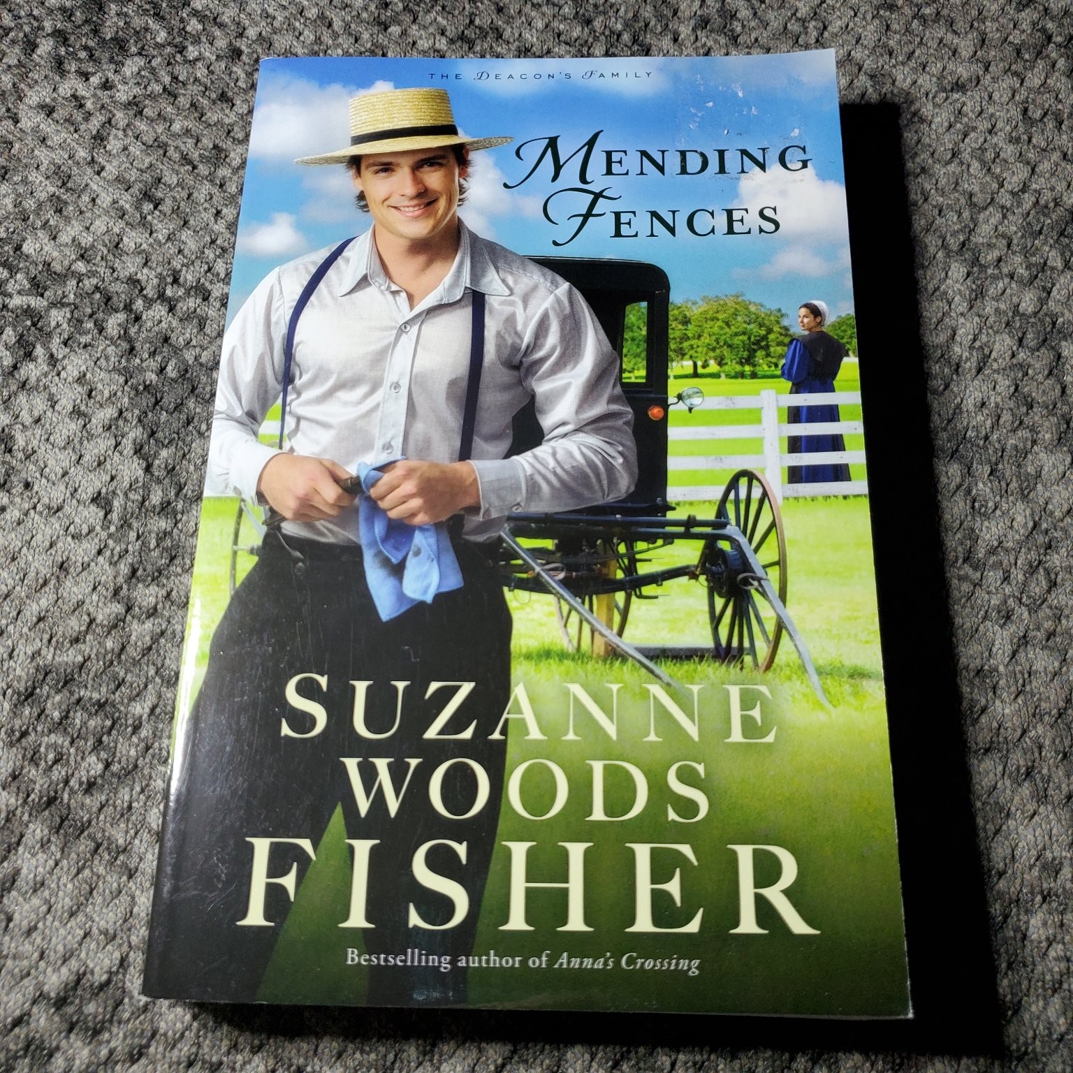 Mending Fences Suzanne Woods Fisher 2019 Amish Romance Revell